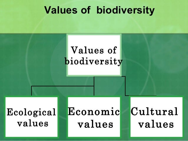 The Biological Basis For Human Values Of Nature The Biological Basis For Human Values Of Nature