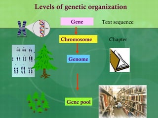 Levels of genetic organization
Gene Text sequence
Chromosome Chapter
Genome
Gene pool
 