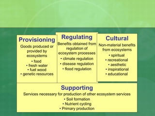 Regulating
Benefits obtained from
regulation of
ecosystem processes
• climate regulation
• disease regulation
• flood regulation
Provisioning
Goods produced or
provided by
ecosystems
• food
• fresh water
• fuel wood
• genetic resources
Cultural
Non-material benefits
from ecosystems
• spiritual
• recreational
• aesthetic
• inspirational
• educational
Supporting
Services necessary for production of other ecosystem services
• Soil formation
• Nutrient cycling
• Primary production
 