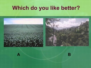 A B
Which do you like better?
 