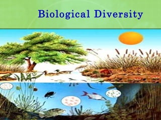 Biological Diversity
 