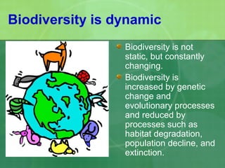 Biodiversity is dynamic
Biodiversity is not
static, but constantly
changing.
Biodiversity is
increased by genetic
change and
evolutionary processes
and reduced by
processes such as
habitat degradation,
population decline, and
extinction.
 