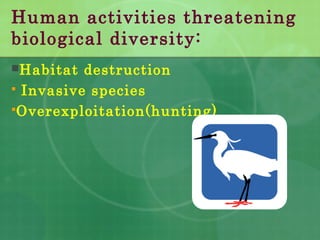 Human activities threatening
biological diversity:
Habitat destruction
 Invasive species
Overexploitation(hunting)
 