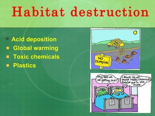 Habitat destruction
 Acid deposition
Global warming
Toxic chemicals
Plastics
 