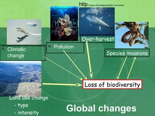 http://www.oceansatlas.org/
http://news.nationalgeographic.com/news/
Molles 2007
Global changes
 Climatic
change
Land use change
- type
- intensity
Species invasions
Loss of biodiversity
 Pollution
Over-harvest
http://www.ourworldfoundation.org.uk/polar.jpg
http://library.thinkquest.org
/
 