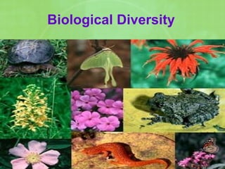 Biological Diversity
 