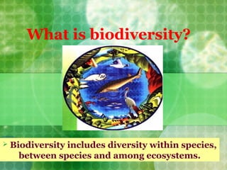 What is biodiversity?
 Biodiversity includes diversity within species,
between species and among ecosystems.
 