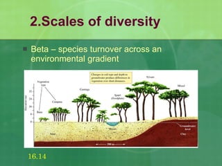 2.Scales of diversity Beta – species turnover across an environmental gradient 16.14 