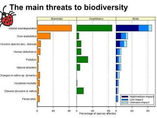 The main threats to biodiversity 