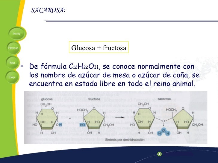1. biomoleculas (BLA)