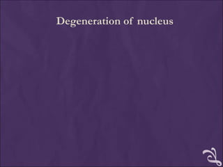 Degeneration of nucleus
 