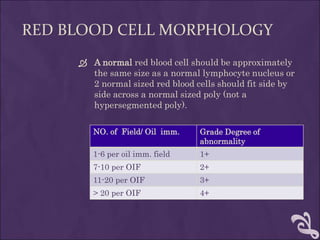 1-Blood-smear.ppt