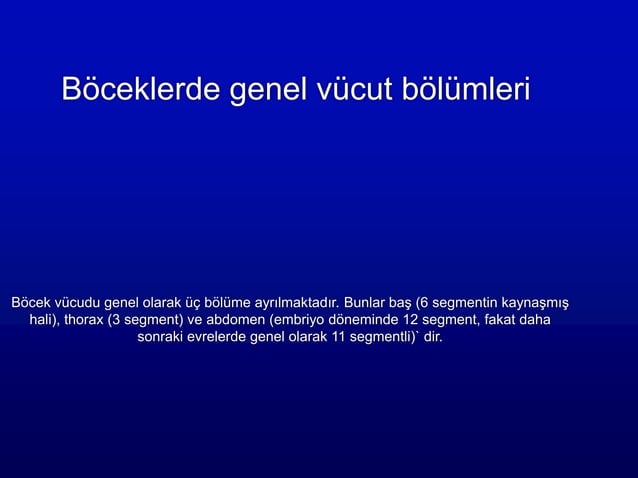 1 bocek basi ve yapisi P3N43 pdf 1-bocek-basi-ve-yapisi-p3n43-pdf