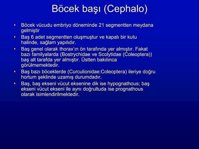 1 bocek basi ve yapisi P3N43 pdf 1-bocek-basi-ve-yapisi-p3n43-pdf
