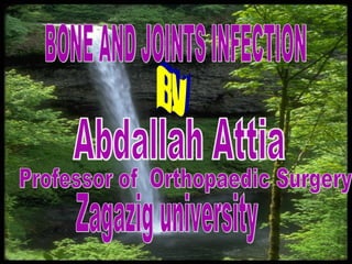 Bone and Joint Infection