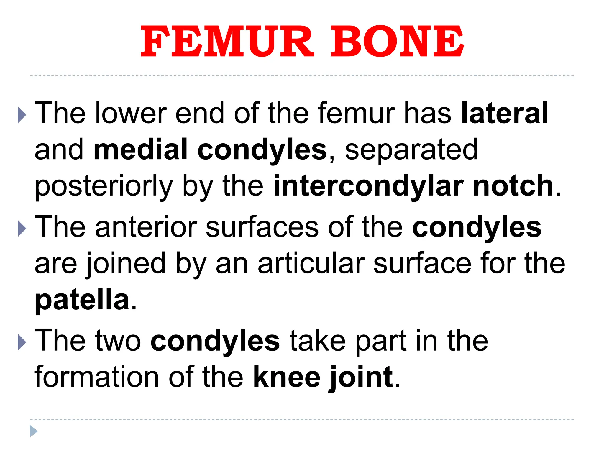 1- BONES OF LOWER LIMB WITH MORE DETAILS.ppt