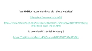 lower limb.pdf