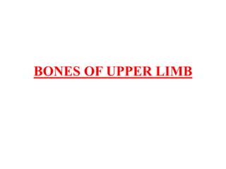 BONES OF UPPER LIMB
 