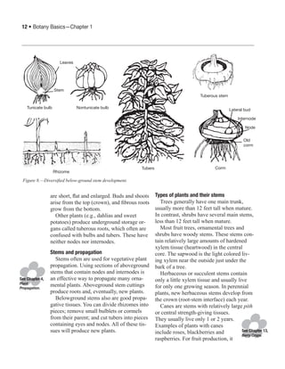 1 botany-basics | PDF