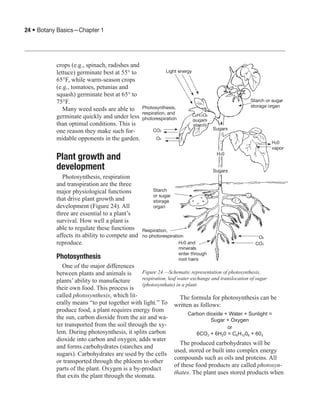 1 botany-basics | PDF