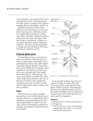 1 botany-basics | PDF