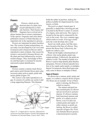 1 botany-basics | PDF