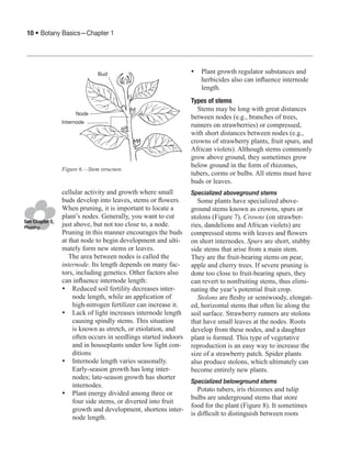 1 botany-basics | PDF