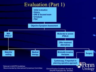 Evaluation (Part 1)
Initial evaluation
• History
• DRE & focused exam
• Urinalysis
• PSA1
Objective Symptom Assessment
Moderate to severe
IPSS8
Offer treatment
alternatives
Minimally invasive
therapies
Surgery
Medical
therapy
Watchful
waiting
Cystoscopy, if important in
planning operative approach
Mild
IPSS7
1Optional in AHCPR Guidelines;
Recommended by International Consensus Committee Clinical Practice Guideline, Number 8.
AHCPR Publication No. 94-0582.4.2
 