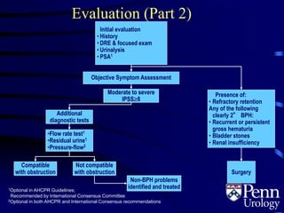 Evaluation (Part 2)
Moderate to severe
IPSS8
Additional
diagnostic tests
•Flow rate test1
•Residual urine1
•Pressure-flow2
Compatible
with obstruction
Not compatible
with obstruction
Non-BPH problems
identified and treated
Presence of:
• Refractory retention
Any of the following
clearly 2° BPH:
• Recurrent or persistent
gross hematuria
• Bladder stones
• Renal insufficiency
1Optional in AHCPR Guidelines;
Recommended by International Consensus Committee
2Optional in both AHCPR and International Consensus recommendations
Surgery
Initial evaluation
• History
• DRE & focused exam
• Urinalysis
• PSA1
Objective Symptom Assessment
4.3
 