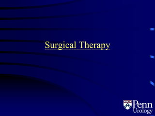 Surgical Therapy
 
