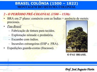 2 - O PERÍODO PRÉ-COLONIAL (1500 – 1530): BRA em 2º plano: comércio com as Índias + ausência de metais preciosos. Pau-Brasil Fabricação de tintura para tecidos. Exploração nômade e predatória. Escambo com índios. Incursões estrangeiras (ESP e  FRA). Expedições guarda-costas (fracasso). O PAU BRASIL 