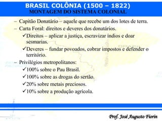Capitão Donatário – aquele que recebe um dos lotes de terra. Carta Foral: direitos e deveres dos donatários. Direitos – aplicar a justiça, escravizar índios e doar sesmarias. Deveres – fundar povoados, cobrar impostos e defender o território. Privilégios metropolitanos: 100% sobre o Pau Brasil. 100% sobre as drogas do sertão. 20% sobre metais preciosos. 10% sobre a produção agrícola. 