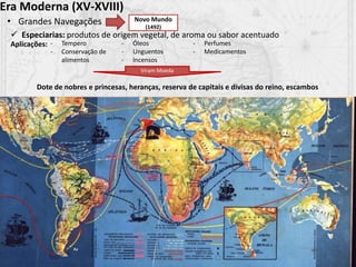 Era Moderna (XV-XVIII)
• Grandes Navegações
 Especiarias: produtos de origem vegetal, de aroma ou sabor acentuado
Novo Mundo
(1492)
Aplicações: - Tempero
- Conservação de
alimentos
- Óleos
- Unguentos
- Incensos
- Perfumes
- Medicamentos
Dote de nobres e princesas, heranças, reserva de capitais e divisas do reino, escambos
Viram Moeda
 