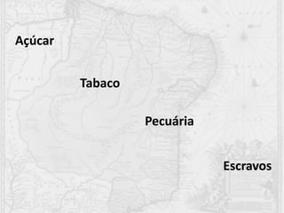 Açúcar
Tabaco
Pecuária
Escravos
 