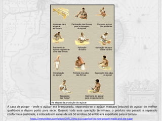 A casa de purgar - onde o açúcar era branqueado, separando-se o açúcar mascavo (escuro) do açúcar de melhor
qualidade e depois posto para secar. Quando toda essa operação terminava, o produto era pesado e separado
conforme a qualidade, e colocado em caixas de até 50 arrobas. Só então era exportado para a Europa
https://metavideos.com/video/70712/this-is-a-sugarloaf-its-how-people-made-and-ate-sugar
 