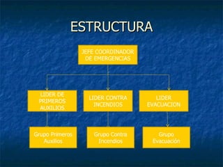 ESTRUCTURA JEFE COORDINADOR DE EMERGENCIAS LIDER DE PRIMEROS AUXILIOS LIDER CONTRA INCENDIOS LIDER EVACUACION Grupo Primeros Auxilios Grupo Contra Incendios Grupo Evacuación 