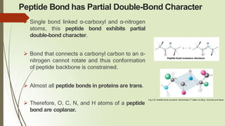 Peptide Bond has Partial Double-Bond Character
 Single bond linked α-carboxyl and α-nitrogen
atoms, this peptide bond exhibits partial
double-bond character.
 Bond that connects a carbonyl carbon to an α-
nitrogen cannot rotate and thus conformation
of peptide backbone is constrained.
 Almost all peptide bonds in proteins are trans.
 Therefore, O, C, N, and H atoms of a peptide
bond are coplanar.
Fig.2.18: Peptide bonds are planar: Biochemistry 7th edition by Berg, Tymoczko and Stryer
 