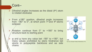 Cont--
 Dihedral angles increases as the distal (4th) atom
is rotated clockwise
 From ±180° position, dihedral angle increases
from -180° to 0°, at which point 1st and 4th atoms
eclipsed
 Rotation continue from 0° to +180° to bring
structure back to starting point
 φ and ψ have any value bet -180° to +180°, but
many values prohibited by steric hindrance bet
atoms in polypeptide backbone and aa side
chains
Fig.4.2 (d). Lehninger Principles of Biochemistry, 6th Ed.
 