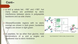 Cont--
 φ and ψ values bet. -180° and +180°, but
many values are prohibited by steric
interference between atoms in polypeptide
backbone and aa side chains
 Allowed/favorable regions with no steric
overlap are shown in dark green; borderline
regions are shown in light green
 In peptides, for aa other than glycine, most
combinations of φ and ψ angles are
disallowed due to steric hindrance
Fig.2.23: Biochemistry 7th edition by Berg, Tymoczko and Stryer
 
