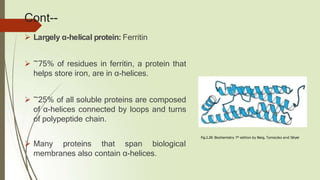 Cont--
 Largely α-helical protein: Ferritin
 ~75% of residues in ferritin, a protein that
helps store iron, are in α-helices.
 ~25% of all soluble proteins are composed
of α-helices connected by loops and turns
of polypeptide chain.
 Many proteins that span biological
membranes also contain α-helices.
Fig.2.28: Biochemistry 7th edition by Berg, Tymoczko and Stryer
 