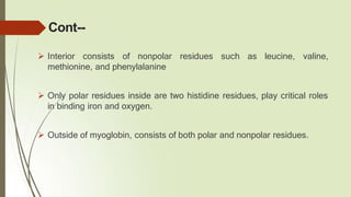 Cont--
 Interior consists of nonpolar residues such as leucine, valine,
methionine, and phenylalanine
 Only polar residues inside are two histidine residues, play critical roles
in binding iron and oxygen.
 Outside of myoglobin, consists of both polar and nonpolar residues.
 