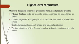 Higher level of structure
Useful to designate two major groups into fibrous and globular proteins:
 Fibrous Proteins with polypeptide chains arranged in long stands or
sheets
• Consist largely of a single type of 2⁰ structure and their 3⁰ structure is
simple
• Its structure provide support, shape and external protection
• Tertiary structure of the fibrous proteins: α-keratin, collagen and silk
fibroin
 