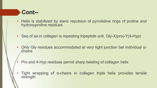 Cont--
• Helix is stabilized by steric repulsion of pyrrolidine rings of proline and
hydroxyproline residues
• Seq of aa in collagen is repeating tripeptide unit, Gly-X(pro)-Y(4-Hyp)
• Only Gly residues accommodated at very tight junction bet individual α-
chains
• Pro and 4-Hyp residues permit sharp twisting of collagen helix
• Tight wrapping of α-chains in collagen triple helix provides tensile
strength
 