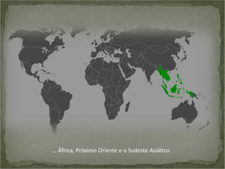 … África, Próximo Oriente e o Sudeste Asiático.

 