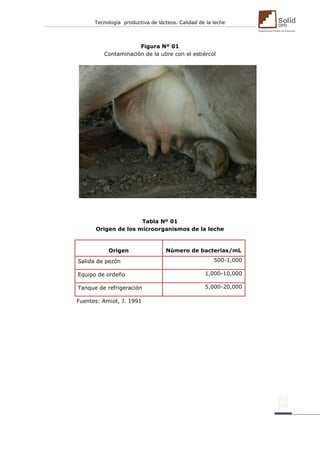 Tecnología productiva de lácteos. Calidad de la leche 
Figura Nº 01 
Contaminación de la ubre con el estiércol 
Tabla Nº 01 
Origen de los microorganismos de la leche 
Origen 
Número de bacterias/mL 
Salida de pezón 
500-1,000 
Equipo de ordeño 
1,000-10,000 
Tanque de refrigeración 
5,000-20,000 
Fuentes: Amiot, J. 1991 
 