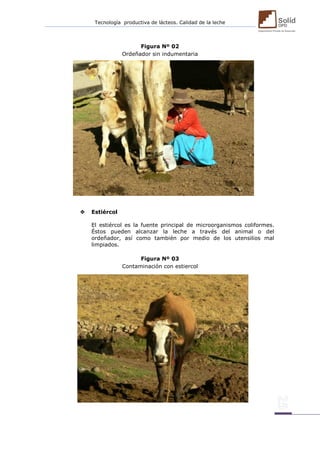 Tecnología productiva de lácteos. Calidad de la leche 
Figura Nº 02 
Ordeñador sin indumentaria 
 Estiércol 
El estiércol es la fuente principal de microorganismos coliformes. Éstos pueden alcanzar la leche a través del animal o del ordeñador, así como también por medio de los utensilios mal limpiados. 
Figura Nº 03 
Contaminación con estiercol 
 