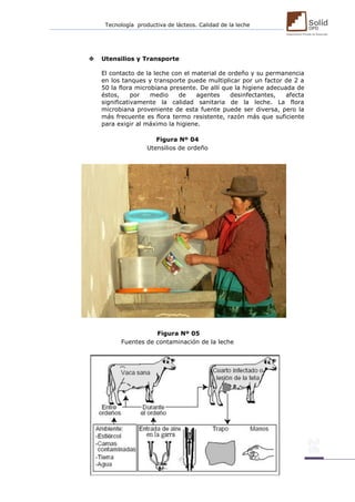 Tecnología productiva de lácteos. Calidad de la leche 
 Utensilios y Transporte 
El contacto de la leche con el material de ordeño y su permanencia en los tanques y transporte puede multiplicar por un factor de 2 a 50 la flora microbiana presente. De allí que la higiene adecuada de éstos, por medio de agentes desinfectantes, afecta significativamente la calidad sanitaria de la leche. La flora microbiana proveniente de esta fuente puede ser diversa, pero la más frecuente es flora termo resistente, razón más que suficiente para exigir al máximo la higiene. 
Figura Nº 04 
Utensilios de ordeño 
Figura Nº 05 
Fuentes de contaminación de la leche 
 