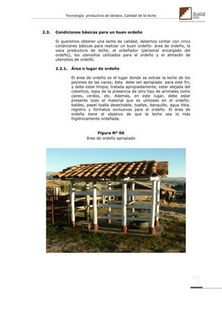 Tecnología productiva de lácteos. Calidad de la leche 
2.3. Condiciones básicas para un buen ordeño 
Si queremos obtener una leche de calidad, debemos contar con cinco condiciones básicas para realizar un buen ordeño: área de ordeño, la vaca productora de leche, el ordeñador (personal encargado del ordeño), los utensilios utilizados para el ordeño y el almacén de utensilios de ordeño. 
2.2.1. Área o lugar de ordeño 
El área de ordeño es el lugar donde se extrae la leche de los pezones de las vacas; ésta debe ser apropiada para este fin, y debe estar limpia, tratada apropiadamente, estar alejada del cobertizo, lejos de la presencia de otro tipo de animales como canes, cerdos, etc. Además, en este lugar, debe estar presente todo el material que es utilizado en el ordeño: baldes, papel toalla desechable, toallas, banquillo, agua tibia, registro y formatos exclusivos para el ordeño. El área de ordeño tiene el objetivo de que la leche sea lo más higiénicamente ordeñada. 
Figura Nº 06 
Área de ordeño apropiado 
 