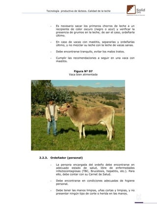 Tecnología productiva de lácteos. Calidad de la leche 
- Es necesario sacar los primeros chorros de leche a un recipiente de color oscuro (negro o azul) y verificar la presencia de grumos en la leche; de ser el caso, ordeñarla último. 
- En caso de vacas con mastitis, separarlas y ordeñarlas último, y no mezclar su leche con la leche de vacas sanas. 
- Debe encontrarse tranquilo, evitar los malos tratos. 
- Cumplir las recomendaciones a seguir en una vaca con mastitis. 
Figura Nº 07 
Vaca bien alimentada 
2.2.3. Ordeñador (personal) 
- La persona encargada del ordeño debe encontrarse en adecuado estado de salud, libre de enfermedades infectocontagiosas (TBC, Brucelosis, hepatitis, etc.). Para ello, debe contar con su Carnet de Salud. 
- Debe encontrarse en condiciones adecuadas de higiene personal. 
- Debe tener las manos limpias, uñas cortas y limpias, y no presentar ningún tipo de corte o herida en las manos. 
 