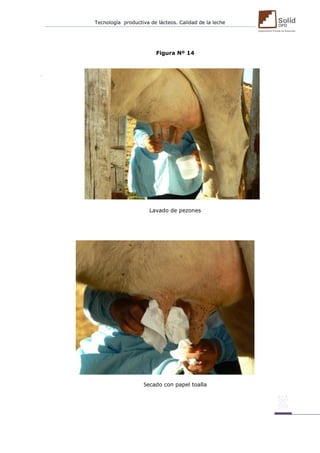 Tecnología productiva de lácteos. Calidad de la leche 
Figura Nº 14 
Lavado de pezones 
Secado con papel toalla 
 